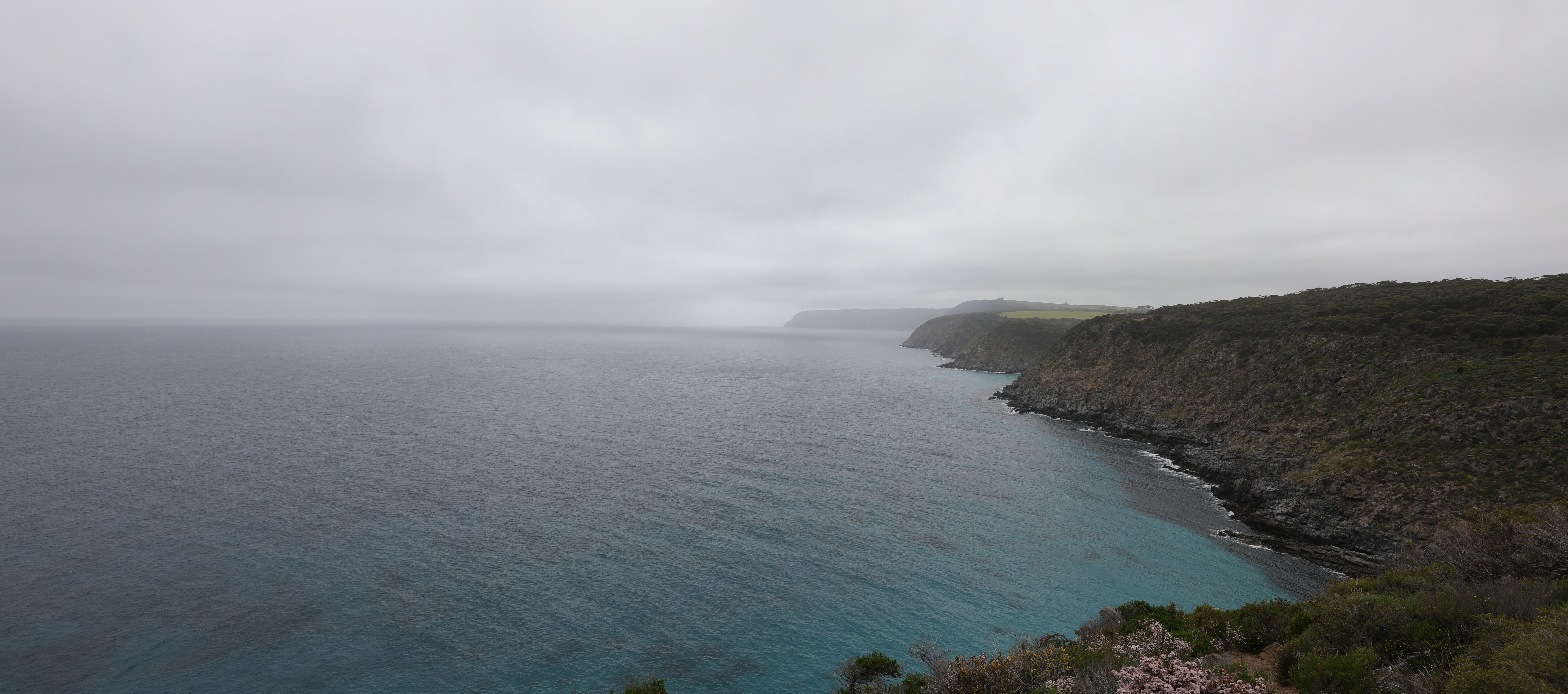 2019 10 02 11 15 04 Canon EOS 5D Mark IV 0011